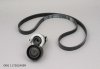 Original  TENDEUR DE COURROIE Renault 1.5DCI 10- COMPLET 6PK1197, 117202495R